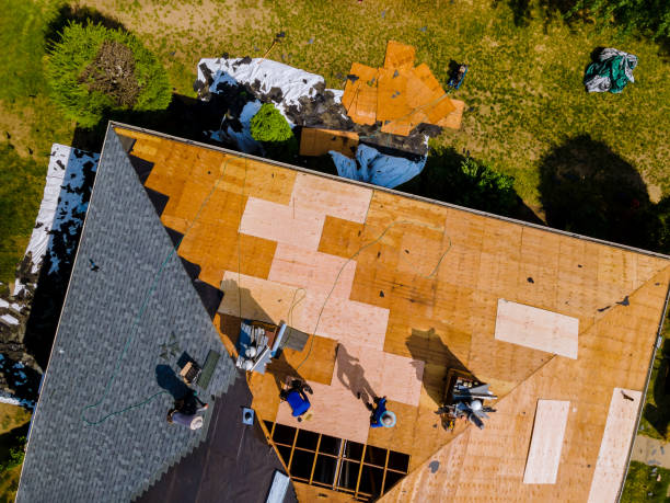 Best Metal Roofing Contractor  in Salem, AR
