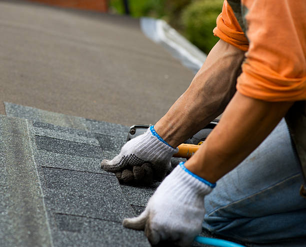 Best Roof Leak Repair  in Salem, AR